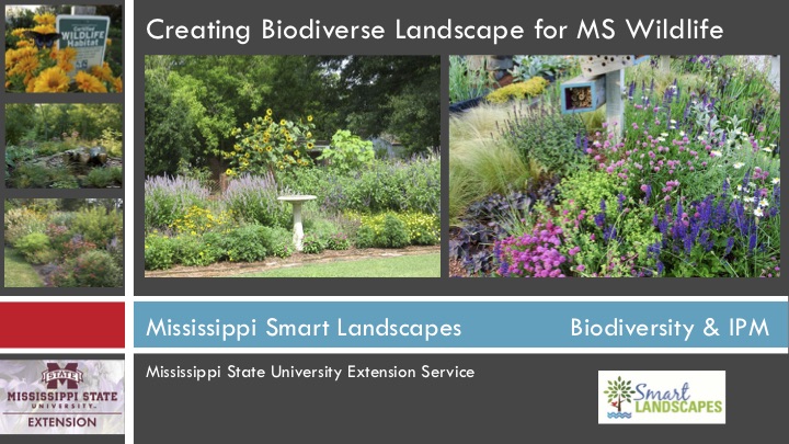 Creative Biodiverse Landscape for Mississippi Wildlife presentation cover.